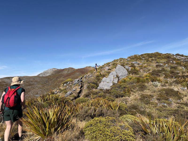 gallery/mt_arthur_hut_033.jpg