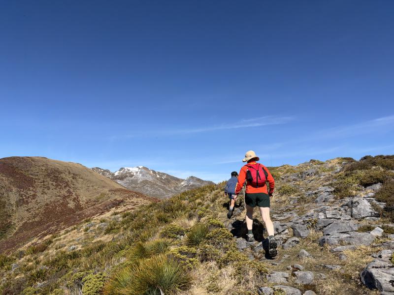 gallery/mt_arthur_hut_038.jpg