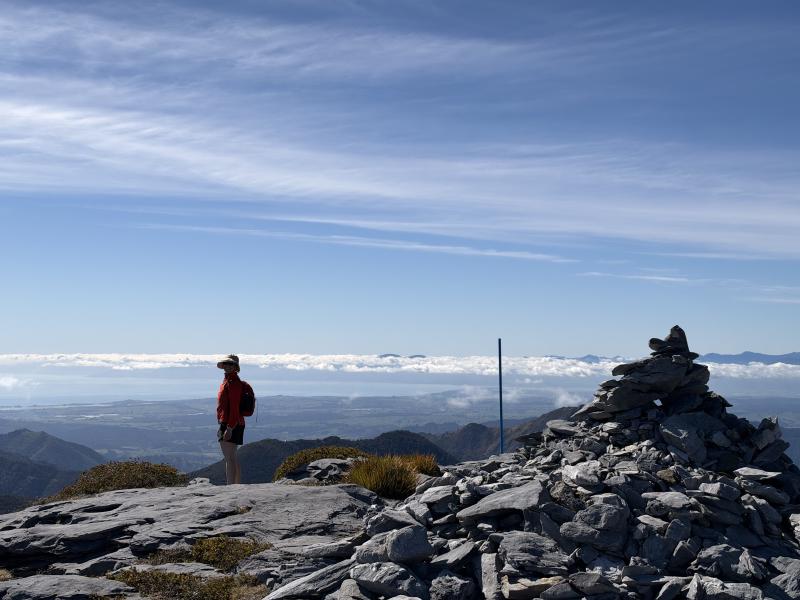 gallery/mt_arthur_hut_040.jpg