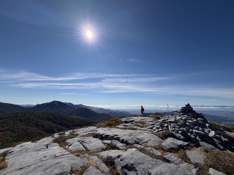 gallery/mt_arthur_hut_041.jpg