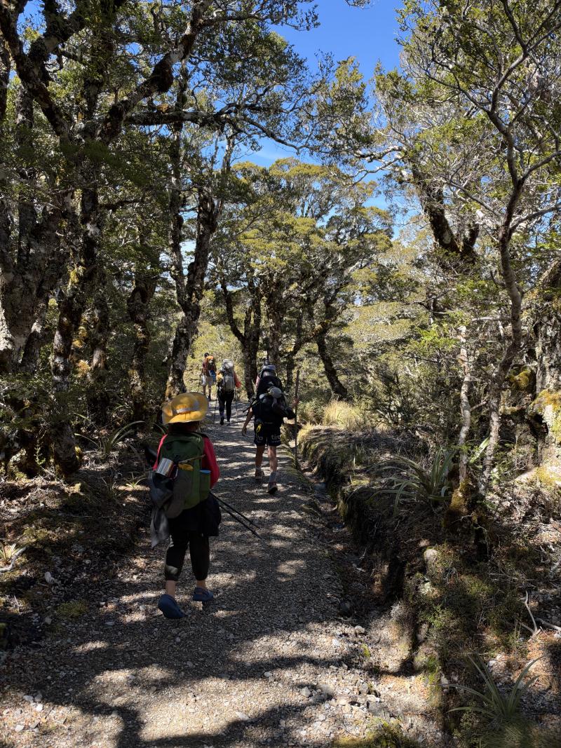 gallery/mt_arthur_hut_043.jpg