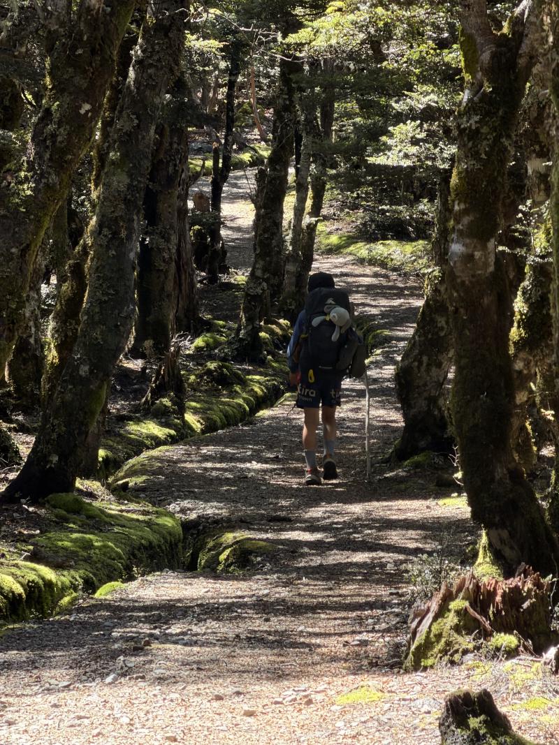 gallery/mt_arthur_hut_048.jpg