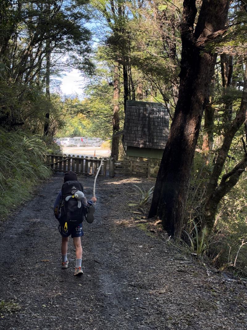 gallery/mt_arthur_hut_051.jpg