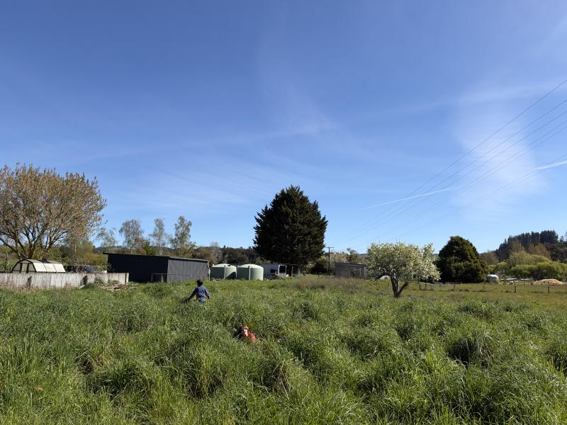 gallery/mt_arthur_hut_053.jpg