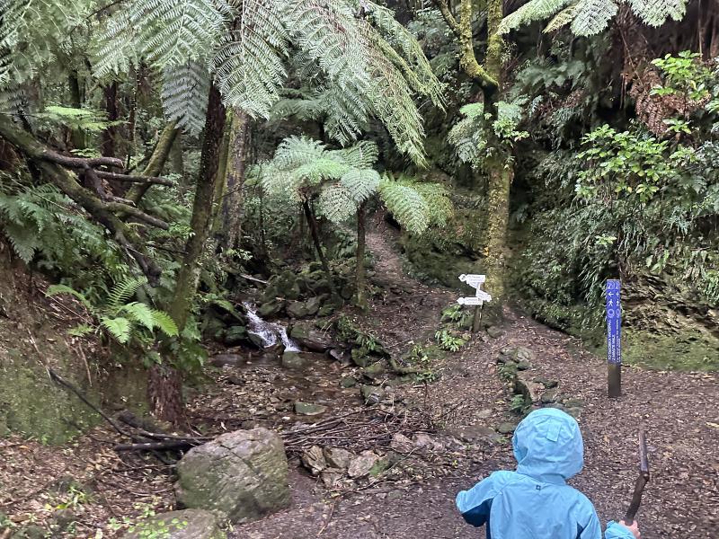 gallery/takorika_hike_02.jpg
