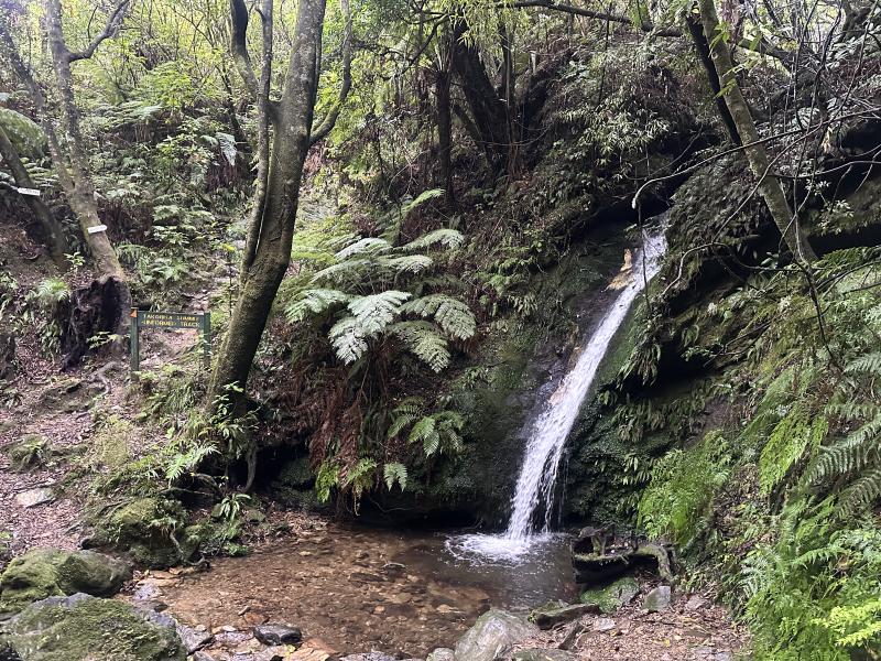gallery/takorika_hike_03.jpg