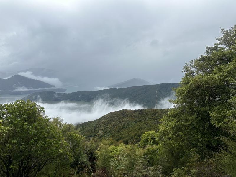 gallery/takorika_hike_09.jpg