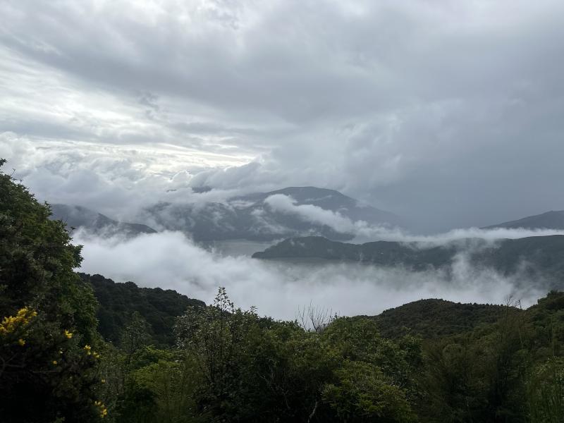 gallery/takorika_hike_10.jpg