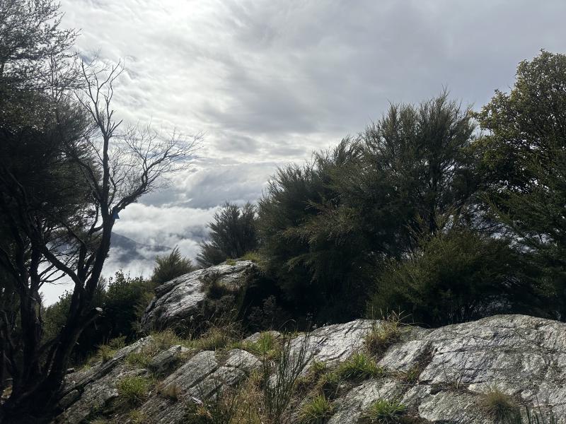 gallery/takorika_hike_13.jpg