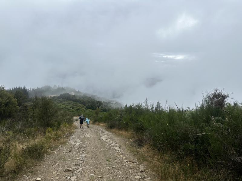 gallery/takorika_hike_16.jpg