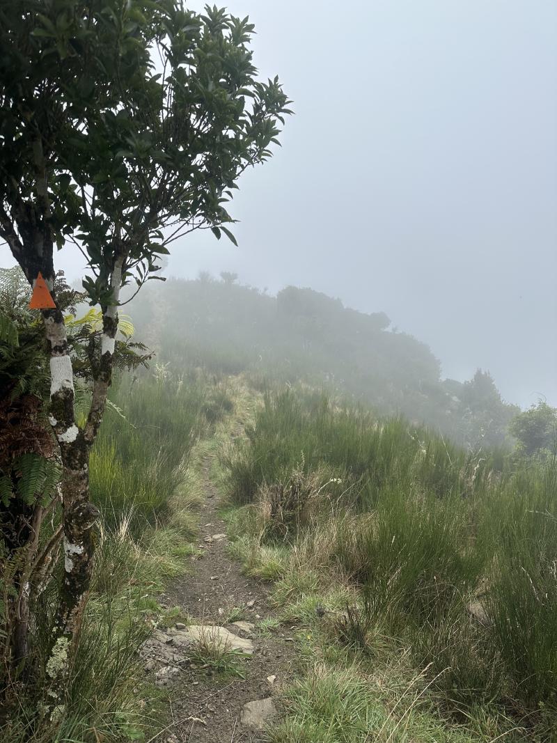 gallery/takorika_hike_18.jpg