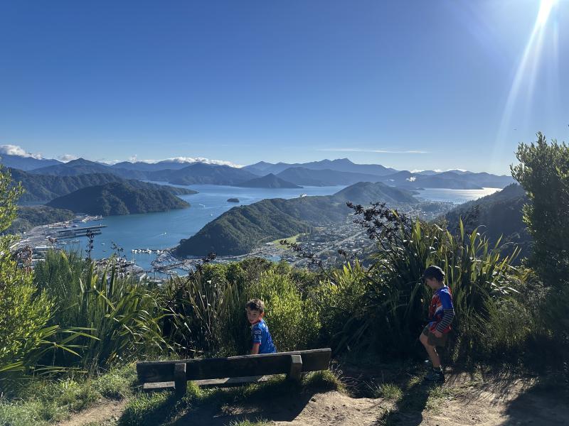 gallery/tirohanga_04.jpg